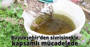  Büyükşehir’den sivrisinekle kapsamlı mücadelede