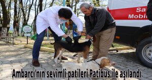Ambarcı’nın sevimli patileri Patibüs ile aşılandı