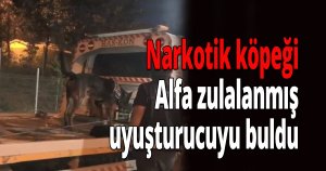 Alfa'dan kaçış yok