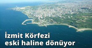 Deniz salyasının istila ettiği İzmit Körfezi eski haline dönüyor