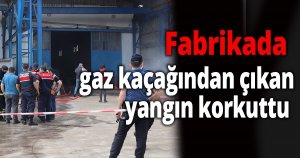 Fabrikada gaz kaçağından çıkan yangın korkuttu