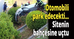 Otomobili park edecekti...