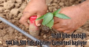 %100 hibe desteği! 144 bin 500 fide dağıtımı Cumartesi başlıyor