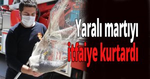 Yaralı martıyı itfaiye kurtardı