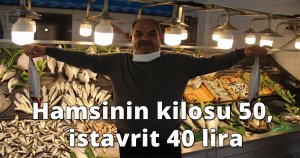 Hamsinin kilosu 50, istavrit 40 liradan satılıyor