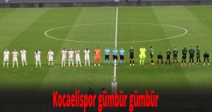 Kocaelispor gümbür gümbür