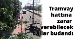 Tramvay hattına zarar verebilecek dallar budandı