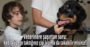 Veterinere şaşırtan soru:'Kedi, köpeğe taktığınız çipi kızıma da takabilir misiniz?'