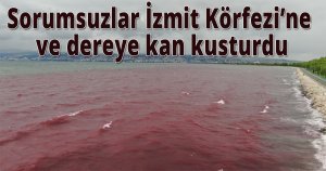 Sorumsuzlar İzmit Körfezi’ne ve dereye kan kusturdu