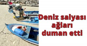 Deniz salyası ağları duman etti