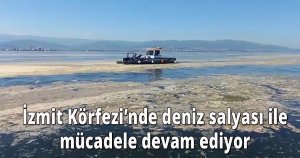  İzmit Körfezi’nde deniz salyası ile mücadele devam ediyor