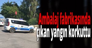 Ambalaj fabrikasında çıkan yangın korkuttu