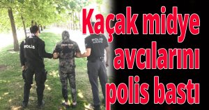 Kaçak midye avcılarını polis bastı
