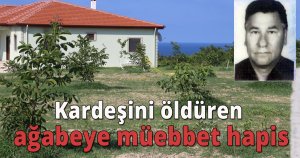 Kardeşini öldüren ağabeye müebbet hapis