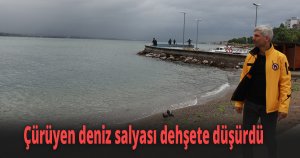 Çürüyen deniz salyası dehşete düşürdü