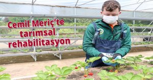 Cemil Meriç’te tarımsal rehabilitasyon