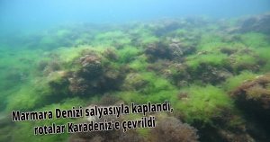 Marmara Denizi salyasıyla kaplandı, rotalar Karadeniz'e çevrildi