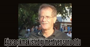 Ağaca çıkmak istediği merdiven sonu oldu