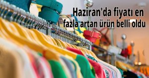 Haziran'da fiyatı en fazla artan ürün belli  oldu