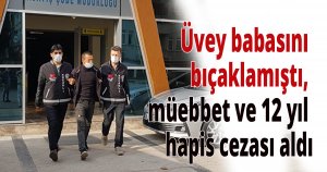 Üvey babasını bıçaklamıştı, müebbet ve 12 yıl hapis cezası aldı
