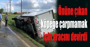 Köpeğe çarpmamak isterken kamyoneti devirdi