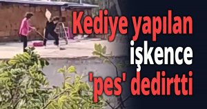 Kediye yapılan işkence 'pes' dedirtti
