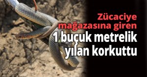 İş yeri sahibi deprem oluyor zannetti, gördüğü manzara dehşete düşürdü