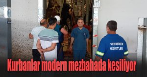 Kurbanlar modern mezbahada kesiliyor