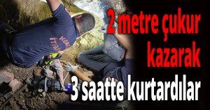  Enkaz altından insan çıkarır gibi kedi kurtarma operasyonu