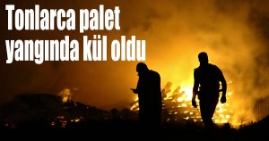 Tonlarca palet yangında kül oldu
