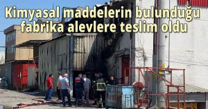 Kimyasal maddelerin bulunduğu fabrika alevlere teslim oldu