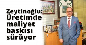  Zeytinoğlu: Üretimde maliyet baskısı sürüyor