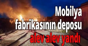 Mobilya fabrikasının deposu alev alev yandı
