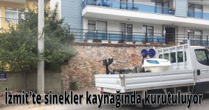 İzmit’te sinekler kaynağında kurutuluyor