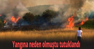 Kocaeli’de otluk alanda yangına sebebiyet veren şahıs tutuklandı