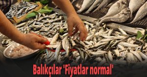 Balıkçılar 'Fiyatlar normal'