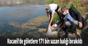 Kocaeli’de göletlere 171 bin sazan balığı bırakıldı