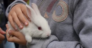 Otizmle 4 duvar arasında baş etmek mümkün değil