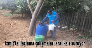 İzmit’te ilaçlama çalışmaları aralıksız sürüyor