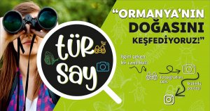  İlgini çeken bir canlı bul, fotoğrafını çek