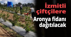  İzmitli çiftçilere aronya fidanı dağıtılacak