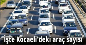 İşte Kocaeli'deki araç sayısı