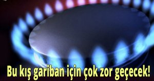 Bu kış gariban için çok zor geçecek!