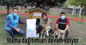 İzmit Belediyesinden minik patilere yuva ve mama desteği