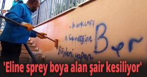 'Eline sprey boya alan şair kesiliyor'