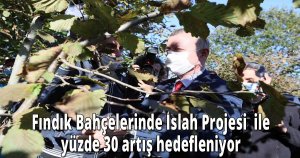  Fındık Bahçelerinde Islah Projesi  ile yüzde 30 artış hedefleniyor