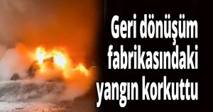 Geri dönüşüm fabrikasındaki yangın korkuttu