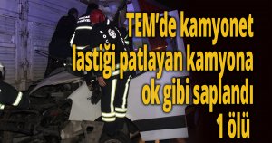 TEM’de kamyonet lastiği patlayan kamyona ok gibi saplandı