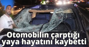 Otomobilin çarptığı yaya hayatını kaybetti