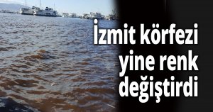 İzmit körfezi renk değiştirdi